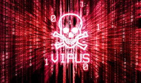 virus